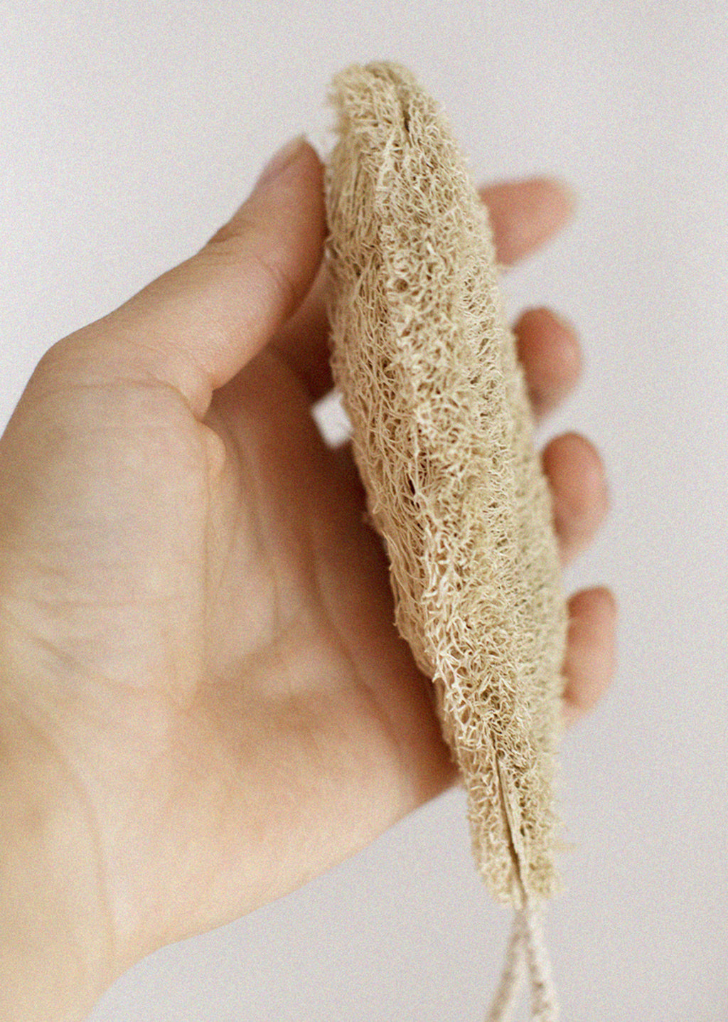 Éponge Vaisselle 100% Végétale Compostable - Cellulose Bois + Coques Noix - Lot De 3, Fabriqué France