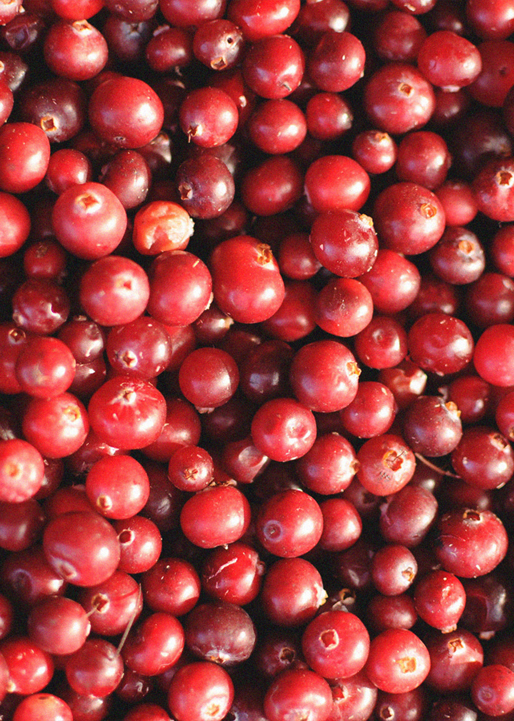 Effervescent Ball - CANNEBERGES